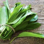 Medvedí cesnak čerstvé listy zväzok ako spracovať medvedí cesnak