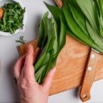 Ako sušiť medvedí cesnak? Bylinka na drevenej doske pripravený na sušenie, čerstvé listy a krájanie