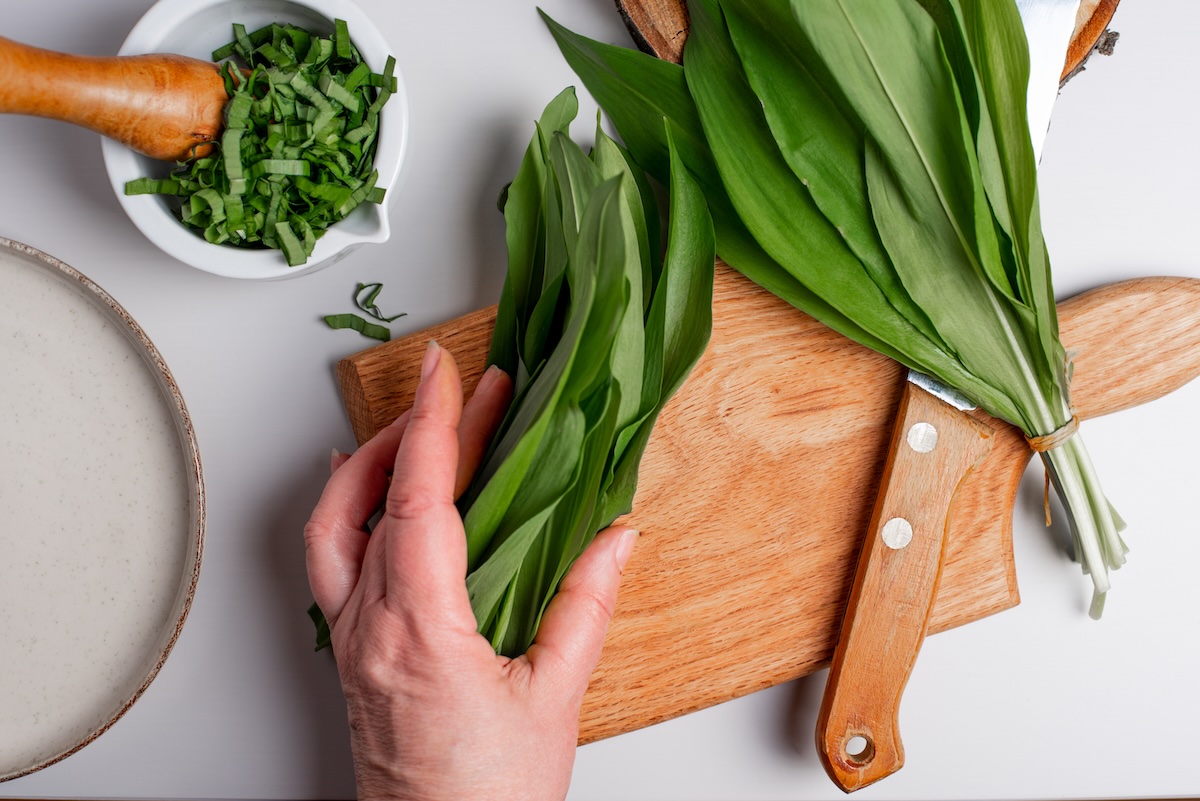 Ako sušiť medvedí cesnak? Bylinka na drevenej doske pripravený na sušenie, čerstvé listy a krájanie