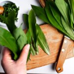 Ako zamraziť medvedí cesnak, aby si zachoval chuť aj vôňu Medvedí cesnak pripravený na zamrazenie