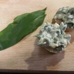 Nátierka z medvedieho cesnaku – rýchly domáci recept