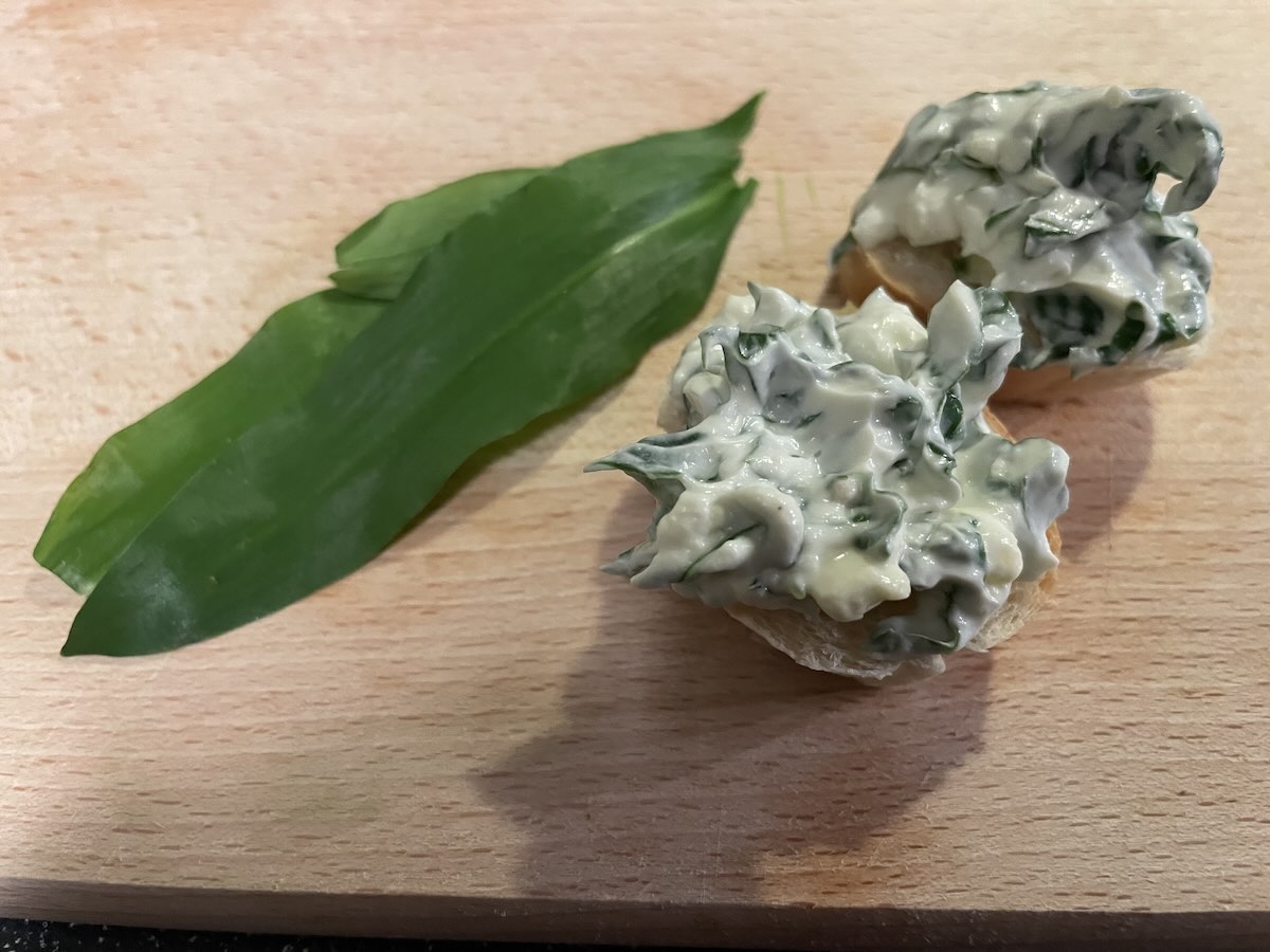 Nátierka z medvedieho cesnaku – rýchly domáci recept