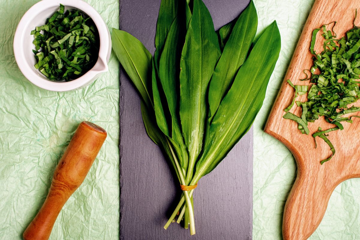 medvedí cesnak recepty príprava a spracovanie listov na kuchynskej doske