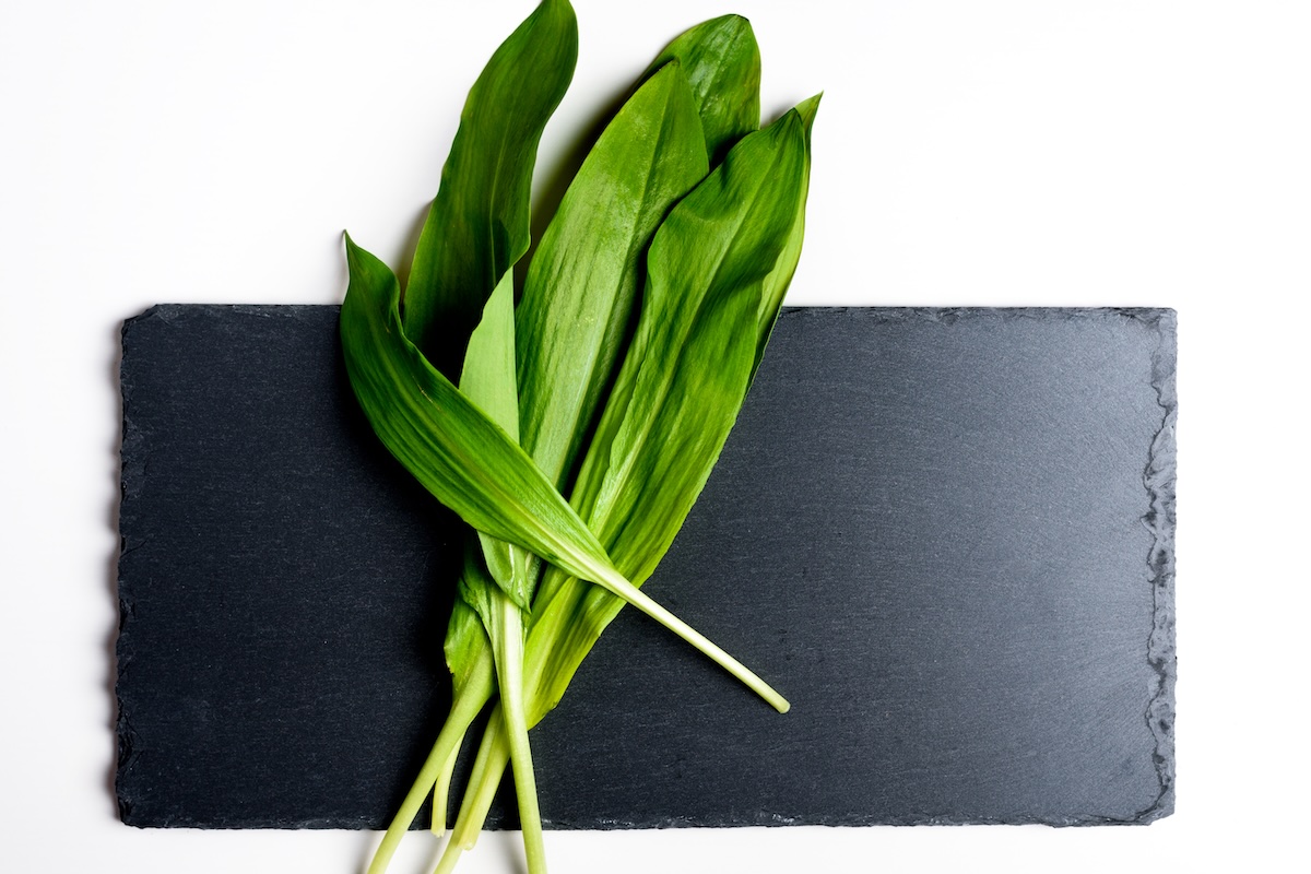 Čerstvé listy medvedieho cesnaku na čiernej bridlicovej doske