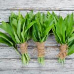 Tri zväzky čerstvo nazbieraného medvedieho cesnaku previazané špagátom na svetlom drevenom povrchu