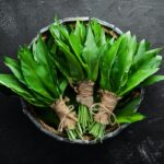 Čerstvý medvedí cesnak zviazaný do zväzkov v košíku na tmavom pozadí