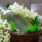 Bazový sirup vo fľaši s čerstvými bazovými kvetmi