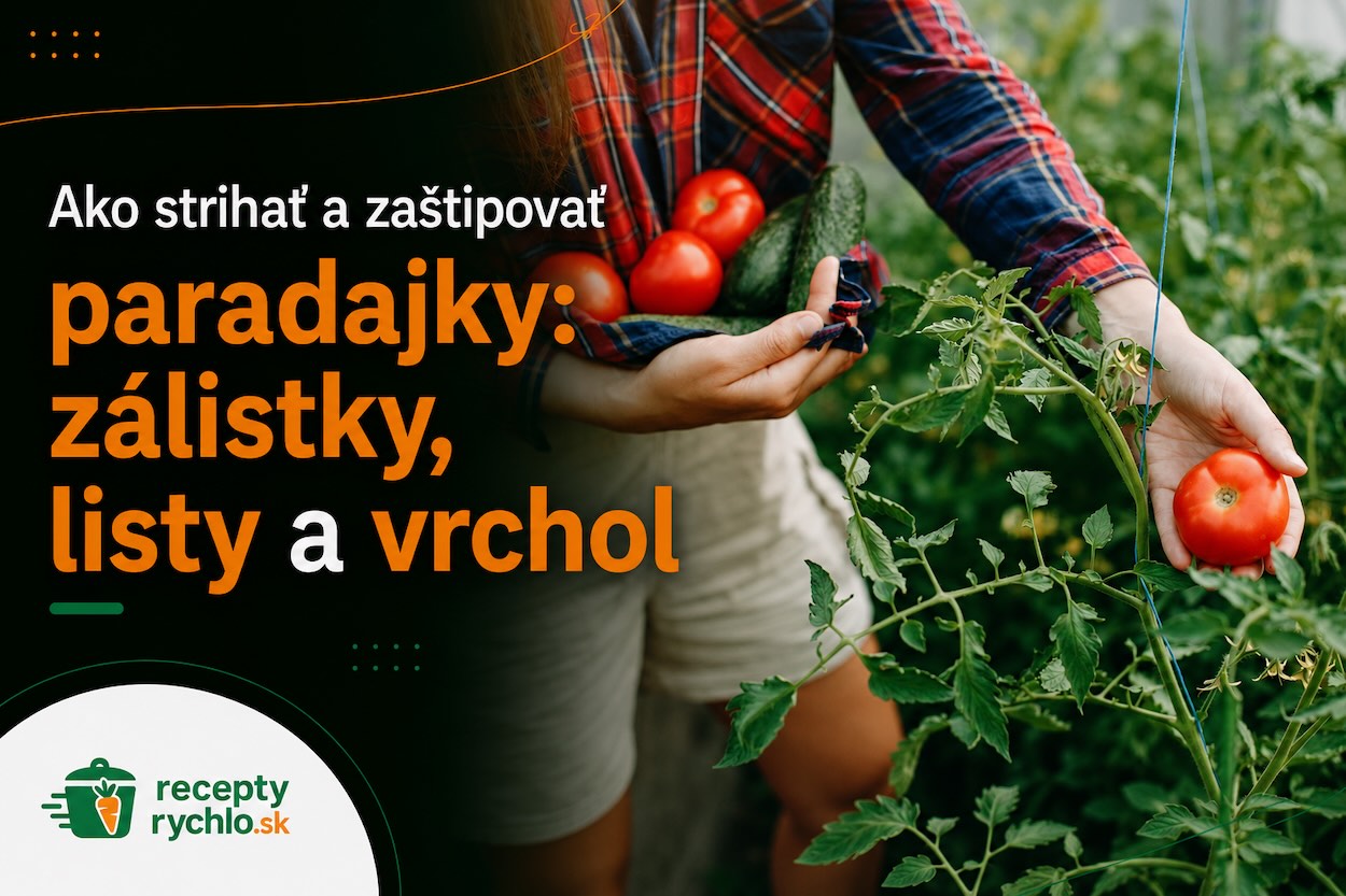 Pestovateľka strihá a zaštipuje paradajku pri opore