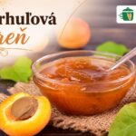 Marhuľová dreň v sklenenej miske s lyžičkou, čerstvými marhuľami a logom ReceptyRychlo.sk