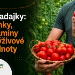 Paradajky: účinky, vitamíny, kalórie a výživové hodnoty Muž drží košík zrelých červených paradajok v skleníku