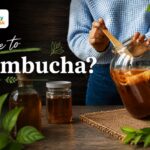 Čo je to kombucha a aké má účinky Domáca kombucha v sklenenej nádobe so SCOBY kultúrou