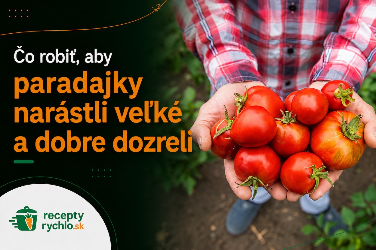 Pestovateľ drží v rukách úrodu zrelých paradajok