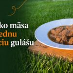 Koľko mäsa na jednu porciu gulášu: odpoveď, prepočet na viac osôb a kalkulačka Porcia gulášu s kúskami mäsa na tanieri